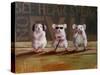 Three Wise Mice-Lucia Heffernan-Stretched Canvas