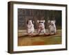 Three Wise Mice-Lucia Heffernan-Framed Art Print