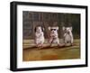 Three Wise Mice-Lucia Heffernan-Framed Art Print