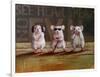 Three Wise Mice-Lucia Heffernan-Framed Art Print