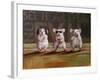 Three Wise Mice-Lucia Heffernan-Framed Art Print