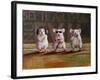 Three Wise Mice-Lucia Heffernan-Framed Art Print