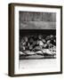 Three Wise Monkeys Sculpture at Toshugu Shrine-null-Framed Photographic Print