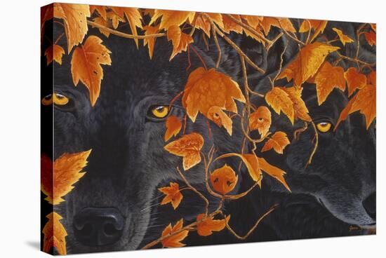 Three Wolves-Graeme Stevenson-Stretched Canvas