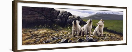 Three Wolves-Michael Budden-Framed Giclee Print