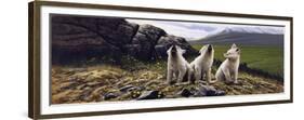 Three Wolves-Michael Budden-Framed Giclee Print