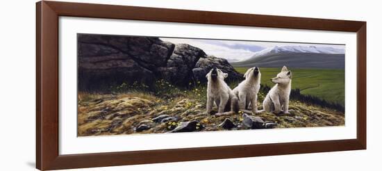 Three Wolves-Michael Budden-Framed Giclee Print