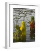 Three Women Pilgrims in Saris Making Puja Celebration in the Pichola Lake at Sunset, Udaipur, India-Eitan Simanor-Framed Photographic Print