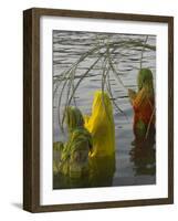 Three Women Pilgrims in Saris Making Puja Celebration in the Pichola Lake at Sunset, Udaipur, India-Eitan Simanor-Framed Photographic Print