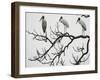 Three Wood Storks Roost in a Dead Tree-null-Framed Photographic Print