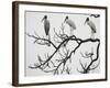 Three Wood Storks Roost in a Dead Tree-null-Framed Photographic Print