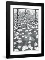 Three Worlds-M^ C^ Escher-Framed Art Print