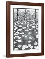 Three Worlds-M^ C^ Escher-Framed Art Print