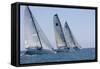 Three Yachts Compete in Team Sailing Event, California-null-Framed Stretched Canvas