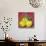 Three Yellow Apples-Blenda Tyvoll-Art Print displayed on a wall