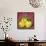 Three Yellow Apples-Blenda Tyvoll-Framed Stretched Canvas displayed on a wall