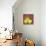Three Yellow Apples-Blenda Tyvoll-Stretched Canvas displayed on a wall