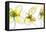 Three Yellow Flowers-Jan Weiss-Framed Stretched Canvas