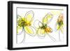 Three Yellow Flowers-Jan Weiss-Framed Art Print