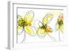 Three Yellow Flowers-Jan Weiss-Framed Art Print