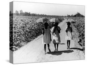 Three Young Barefoot African American Sharecroppers' Daughters on their Way to Sunday School-Alfred Eisenstaedt-Stretched Canvas