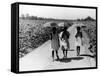 Three Young Barefoot African American Sharecroppers' Daughters on their Way to Sunday School-Alfred Eisenstaedt-Framed Stretched Canvas