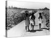 Three Young Barefoot African American Sharecroppers' Daughters on their Way to Sunday School-Alfred Eisenstaedt-Stretched Canvas