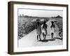 Three Young Barefoot African American Sharecroppers' Daughters on their Way to Sunday School-Alfred Eisenstaedt-Framed Photographic Print