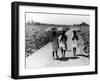 Three Young Barefoot African American Sharecroppers' Daughters on their Way to Sunday School-Alfred Eisenstaedt-Framed Photographic Print