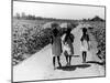 Three Young Barefoot African American Sharecroppers' Daughters on their Way to Sunday School-Alfred Eisenstaedt-Mounted Photographic Print