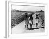 Three Young Barefoot African American Sharecroppers' Daughters on their Way to Sunday School-Alfred Eisenstaedt-Framed Photographic Print