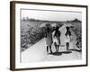 Three Young Barefoot African American Sharecroppers' Daughters on their Way to Sunday School-Alfred Eisenstaedt-Framed Photographic Print