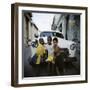 Three Young Boys Posing Against Old White American Car, Havana, Cuba, West Indies, Central America-Lee Frost-Framed Photographic Print