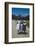 Three Young Girls in Collared Dresses, Edisto Island, South Carolina, 1956-Walter Sanders-Framed Photographic Print