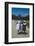 Three Young Girls in Collared Dresses, Edisto Island, South Carolina, 1956-Walter Sanders-Framed Photographic Print