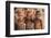 Three young Himba buddies, Opuwo, Namibia.-Wendy Kaveney-Framed Photographic Print