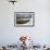 Three Young Sheep on Mt Evans, Colorado Playing in the Snow-Daniel Gambino-Framed Photographic Print displayed on a wall