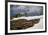 Three Young Sheep on Mt Evans, Colorado Playing in the Snow-Daniel Gambino-Framed Photographic Print