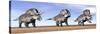 Three Zuniceratops Standing in the Desert-null-Stretched Canvas