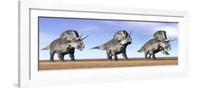 Three Zuniceratops Standing in the Desert-null-Framed Art Print