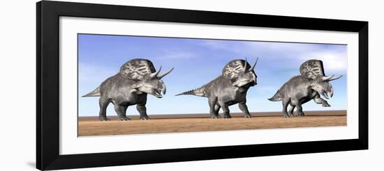 Three Zuniceratops Standing in the Desert-null-Framed Art Print