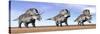 Three Zuniceratops Standing in the Desert-null-Stretched Canvas