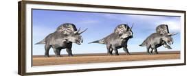 Three Zuniceratops Standing in the Desert-null-Framed Premium Giclee Print