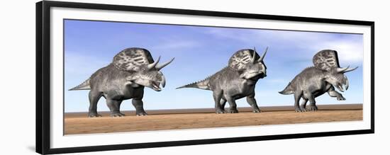 Three Zuniceratops Standing in the Desert-null-Framed Premium Giclee Print
