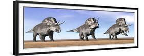 Three Zuniceratops Standing in the Desert-null-Framed Premium Giclee Print