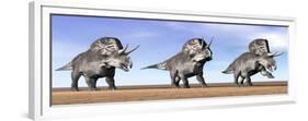 Three Zuniceratops Standing in the Desert-null-Framed Premium Giclee Print