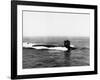 Thresher's Remains Located-null-Framed Photographic Print