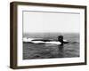 Thresher's Remains Located-null-Framed Photographic Print