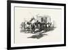 Threshing by Horse Power, Canada, Nineteenth Century-null-Framed Giclee Print