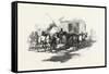 Threshing by Horse Power, Canada, Nineteenth Century-null-Framed Stretched Canvas